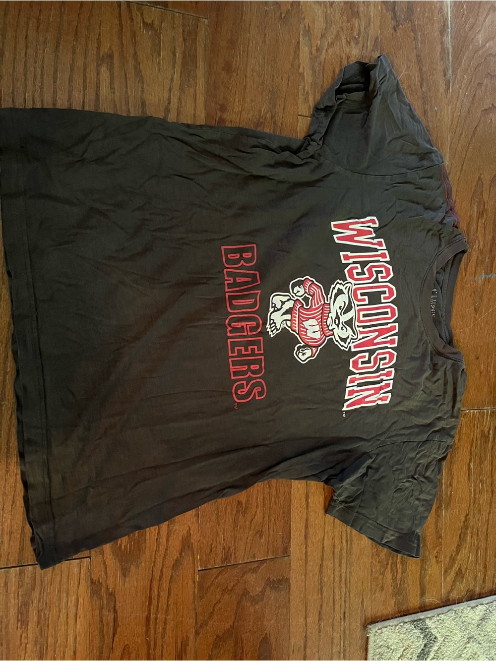 Men’s Campus Heritage Wisconsin Badgers Black Graphic T-Shirt Vintage Oversized